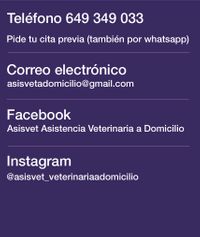 Telefono 649 349 033